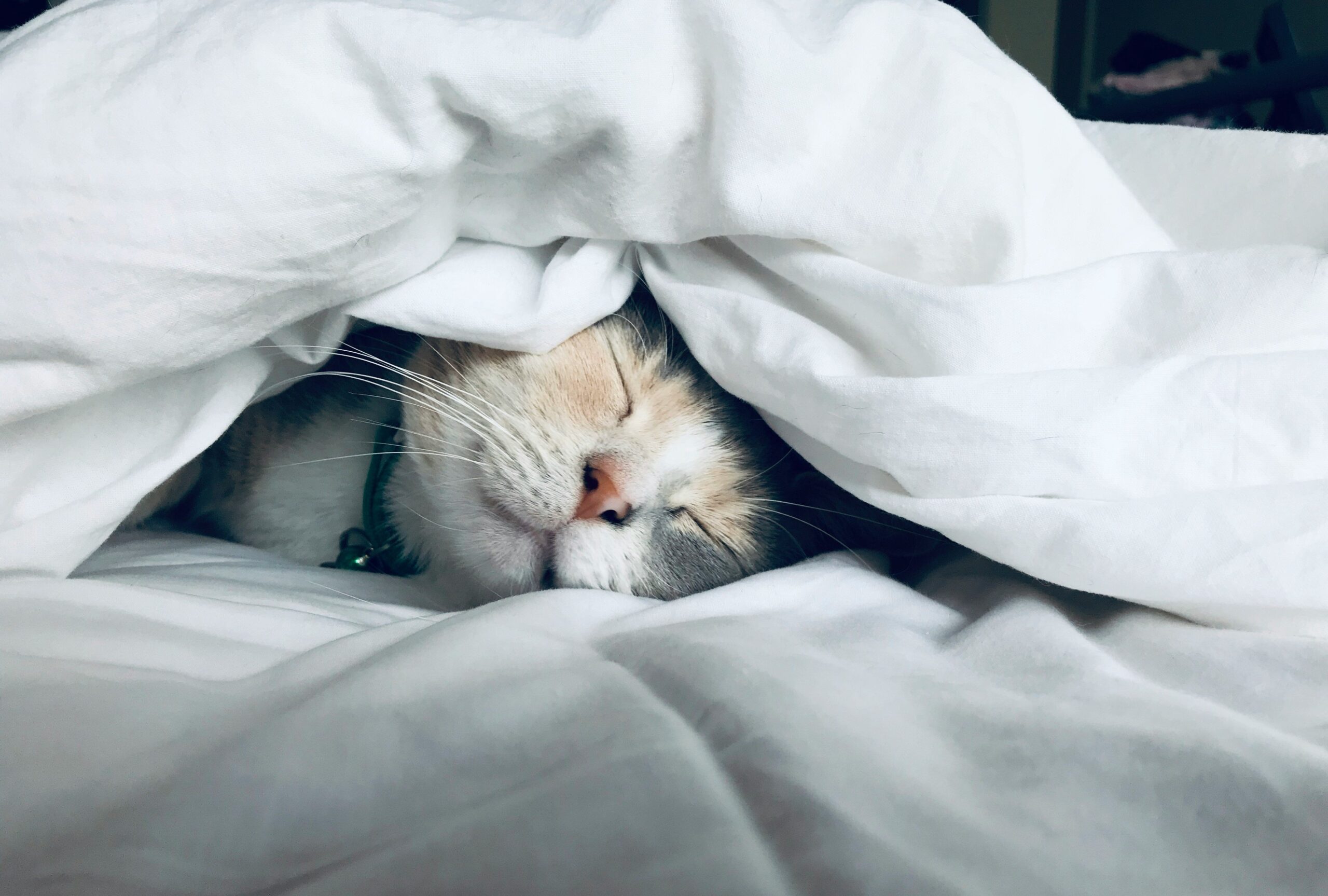 Hybrid Mattress Benefits: The Secret to Better Sleep and Weight Loss Success